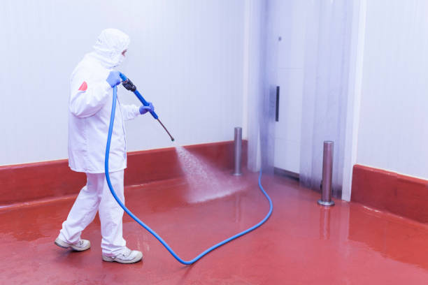 Pre-Holiday Cleaning in Eureka, CA